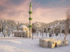 Türk Yapımı Hayatta Kalma Oyunu: Erzurum