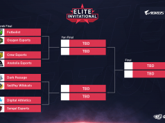 Elite Invitational Playoff Karşılaşmaları Başlıyor