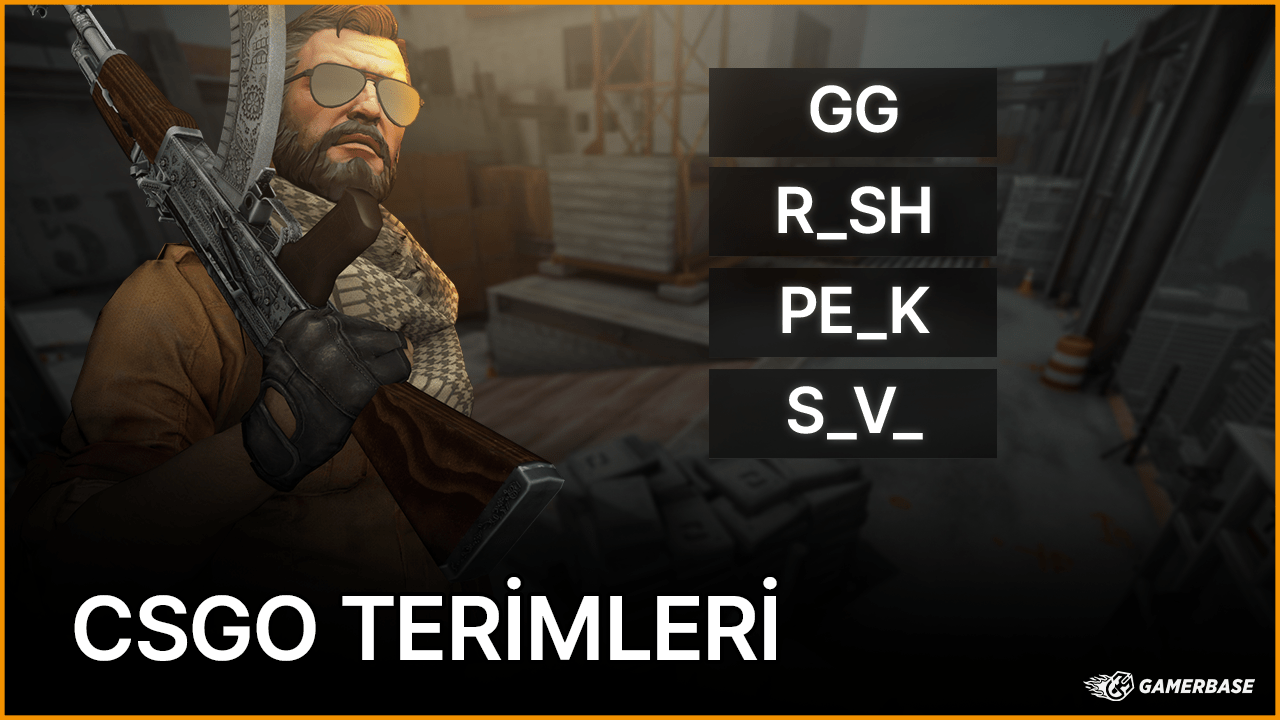 cs:go terimleri